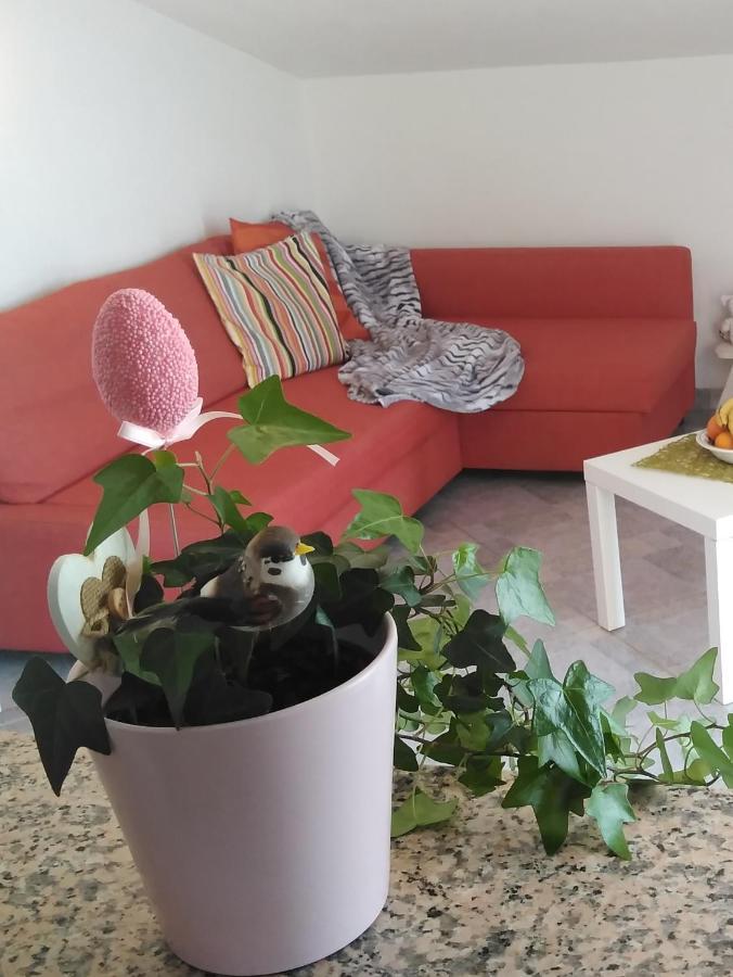 Apartments Nina Ravni Chambre photo